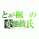 とある楓の変態彼氏（ケンゴ）