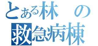 とある林の救急病棟（）