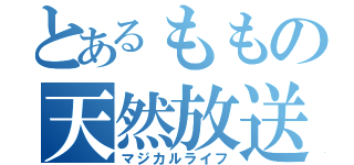 とあるももの天然放送（マジカルライフ）