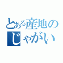 とある産地のじゃがいも（）