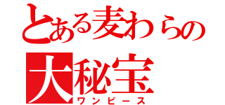 とある麦わらの大秘宝（ワンピース）