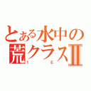 とある水中の荒クラスⅡ（１　　Ｅ）