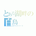 とある湖畔の白鳥（ホワイトバード）