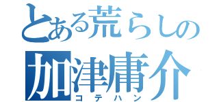 とある荒らしの加津庸介（コテハン）