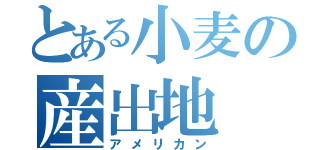 とある小麦の産出地（アメリカン）