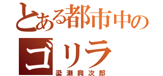 とある都市中のゴリラ（梁瀬興次郎）