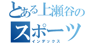 とある上瀬谷のスポーツフェスティバル（インデックス）