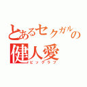 とあるセクガルの健人愛（ビッグラブ）