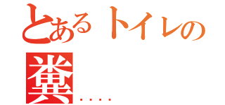 とあるトイレの糞（💩）