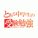 とある中学生の受験勉強（スタディーデイズ）