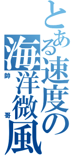 とある速度の海洋微風（帥哥）