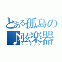 とある孤島の♪弦楽器（マンドリン）