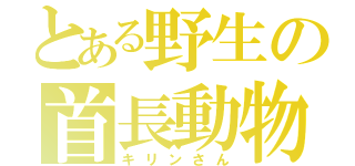 とある野生の首長動物（キリンさん）