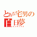 とある宅男の白日夢（インデックス）