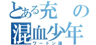 とある充の混血少年（ワートン譲）