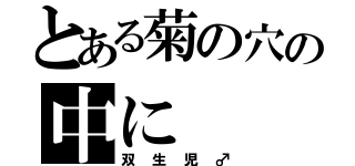 とある菊の穴の中に（双生児♂）