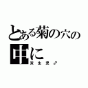 とある菊の穴の中に（双生児♂）