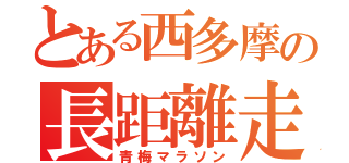 とある西多摩の長距離走（青梅マラソン）