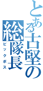 とある古堅の総隊長（ビックボス）