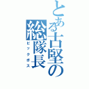 とある古堅の総隊長（ビックボス）