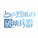 とある烈風の破壊兵器（大砲）