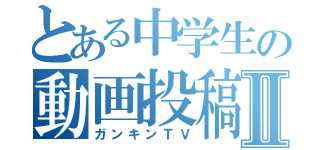 とある中学生の動画投稿Ⅱ（ガンキンＴＶ）