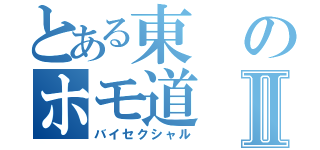 とある東のホモ道Ⅱ（バイセクシャル）