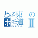 とある東のホモ道Ⅱ（バイセクシャル）