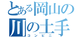 とある岡山の川の土手の下（コンビニ）