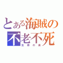 とある海賊の不老不死（生命の泉）