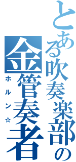 とある吹奏楽部の金管奏者（ホルン☆）