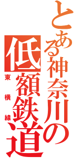 とある神奈川の低額鉄道Ⅱ（東横線）