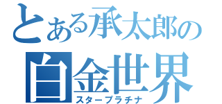 とある承太郎の白金世界（スタープラチナ）