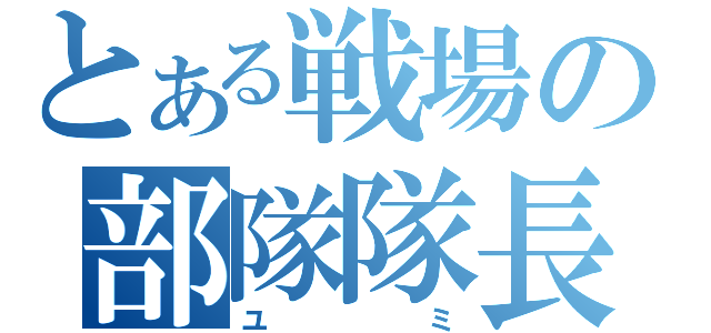 とある戦場の部隊隊長（ユミ）