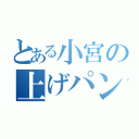 とある小宮の上げパン（）