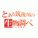 とある筑後川の生物調べ（ｉｎ久留米）