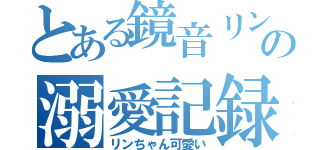 とある鏡音リンの溺愛記録（リンちゃん可愛い）