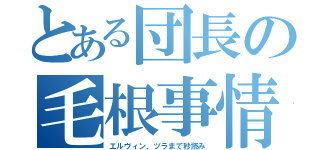 とある団長の毛根事情（エルヴィン、ヅラまで秒読み）