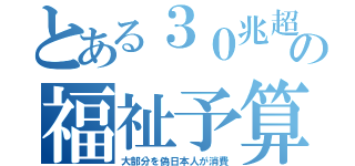 とある３０兆超の福祉予算（大部分を偽日本人が消費）