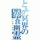 とある冥界の暴食幽霊（インデックス）