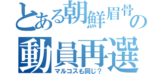 とある朝鮮眉骨の動員再選（マルコスも同じ？）