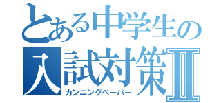 とある中学生の入試対策Ⅱ（カンニングペーパー）