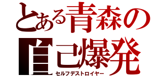 とある青森の自己爆発（セルフデストロイヤー）