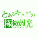 とあるキュウリの極微弱光（バイオフォトン）