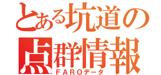 とある坑道の点群情報（ＦＡＲＯデータ）