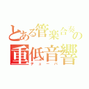 とある管楽合奏の重低音響（テューバ）