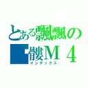 とある飄飄の骷髏Ｍ４（インデックス）