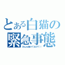 とある白猫の緊急事態（みんな助けてあげて！）