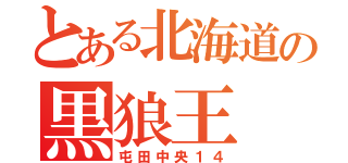 とある北海道の黒狼王（屯田中央１４）