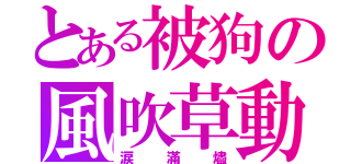 とある被狗の風吹草動（涙滿燼）